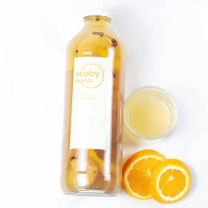 Kombucha SCOBYMANIA